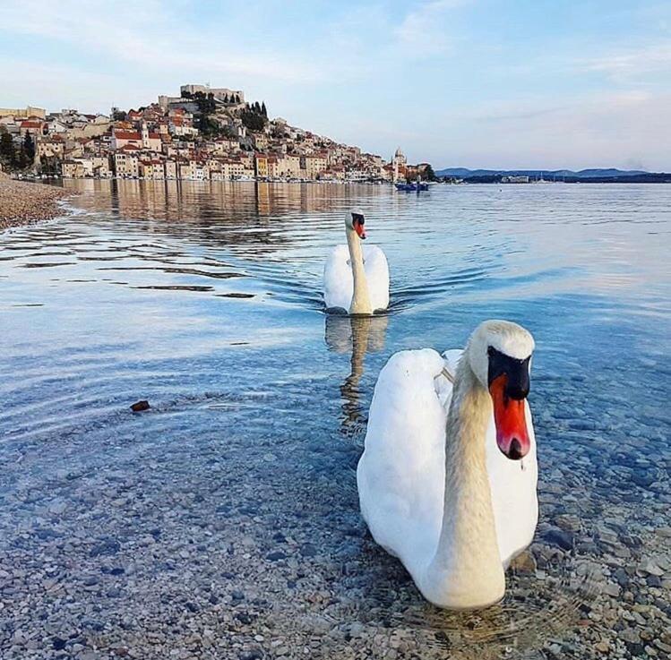 Sibenik Antique Studio Apartment - Old Town מראה חיצוני תמונה